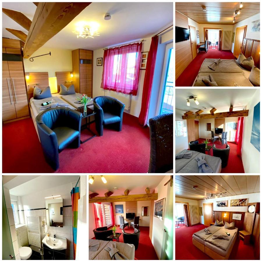 Bnb Fliegerhaeusle Hagnau 24H Self Check In Екстериор снимка